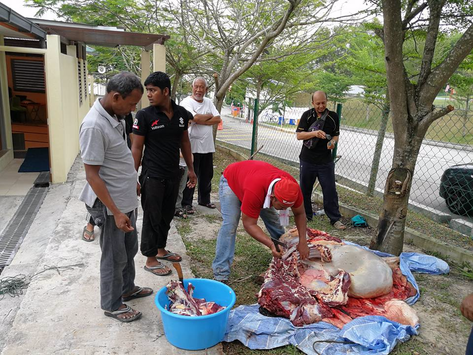 Program Korban 